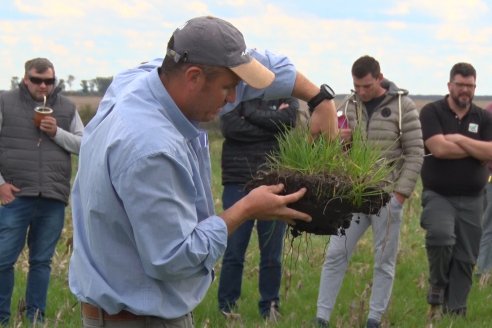 La intensificación sustentable en suelos vertisoles es la clave