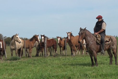 Visita a Estancia San Juan - Cabaña Bototí Picú