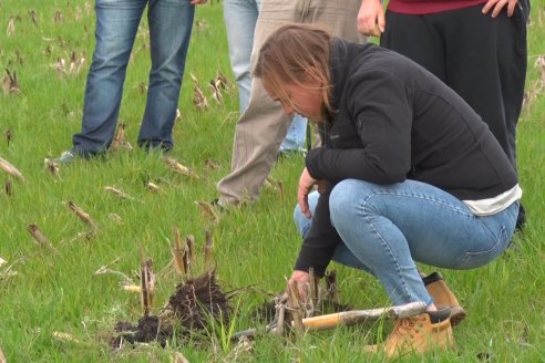 Jornada de Intensificación Sustentable en Suelos Vertisoles - Establecimiento Los Robles - Maciá