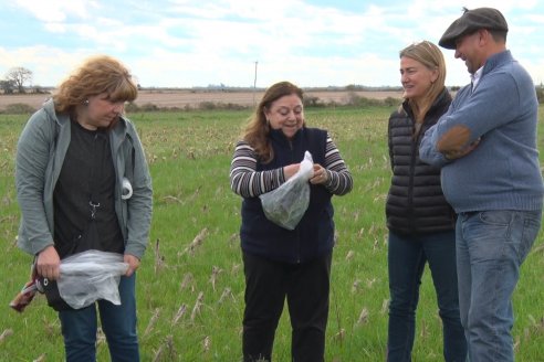 Jornada de Intensificación Sustentable en Suelos Vertisoles - Establecimiento Los Robles - Maciá