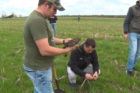 Jornada de Intensificación Sustentable en Suelos Vertisoles - Establecimiento Los Robles - Maciá