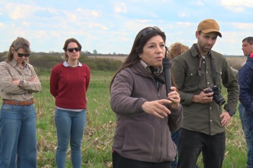 Jornada de Intensificación Sustentable en Suelos Vertisoles - Establecimiento Los Robles - Maciá