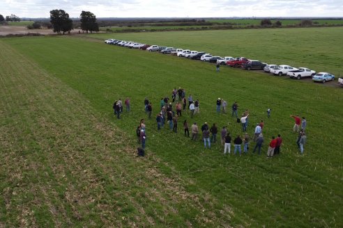 Jornada de Intensificación Sustentable en Suelos Vertisoles - Establecimiento Los Robles - Maciá