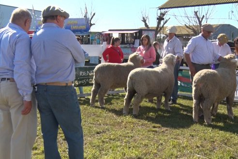 El norte entrerriano mostró su potencial desde Exposición Rural de la Sociedad Rural de Federal