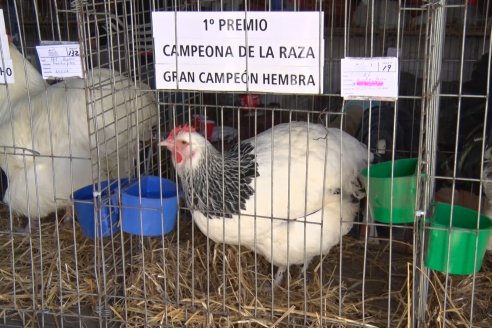 El norte entrerriano mostró su potencial desde Exposición Rural de la Sociedad Rural de Federal