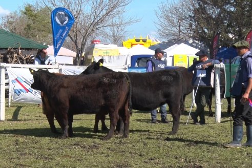 El norte entrerriano mostró su potencial desde Exposición Rural de la Sociedad Rural de Federal