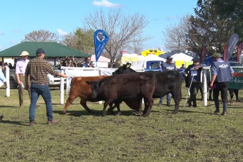 El norte entrerriano mostró su potencial desde Exposición Rural de la Sociedad Rural de Federal