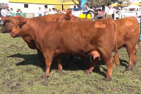 El norte entrerriano mostró su potencial desde Exposición Rural de la Sociedad Rural de Federal