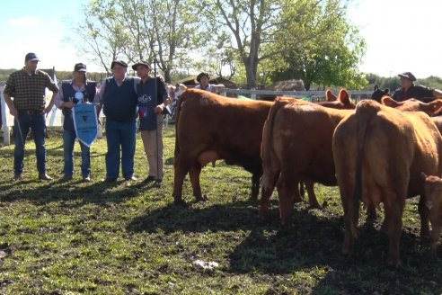 El norte entrerriano mostró su potencial desde Exposición Rural de la Sociedad Rural de Federal