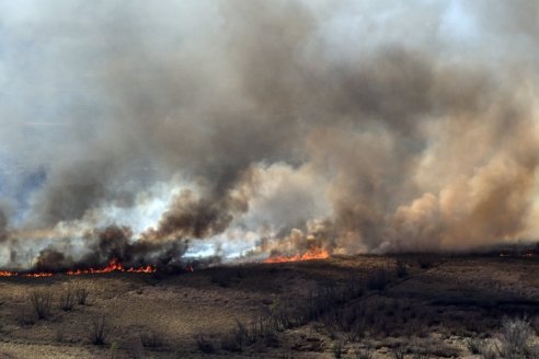 El Servicio Meteorológico precisó que el fuego se expandió por 90.000 hectáreas de Entre Ríos