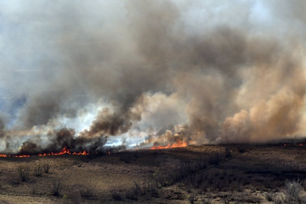 Las imágenes del Delta dan cuenta de la envergadura del daño ambiental.