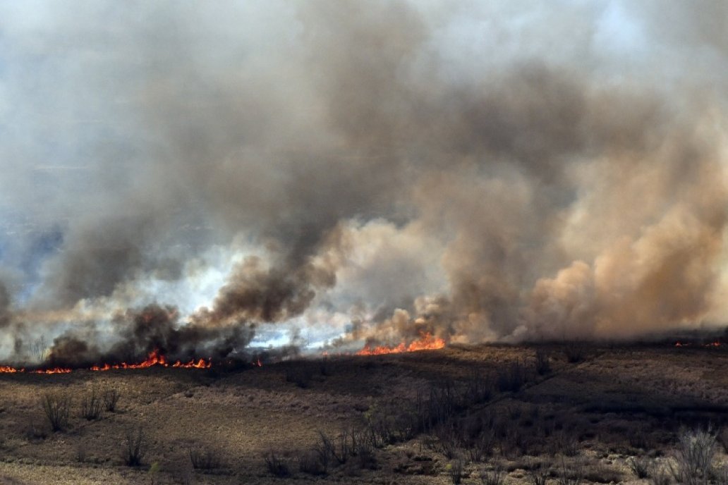 Las imágenes del Delta dan cuenta de la envergadura del daño ambiental.