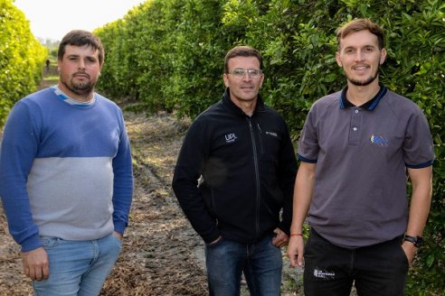 Cómo potenciar calidad y rindes en una finca cítrica