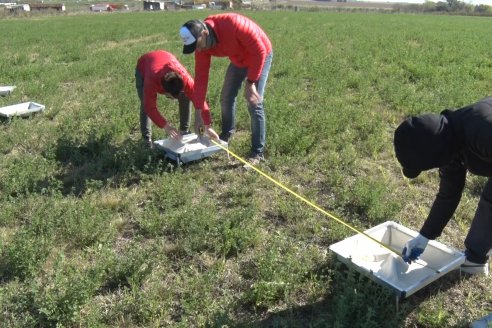 Performance Test FERTEC - en LyB Maquinarias de Gral Ramirez