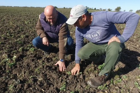 Hay que defender y respaldar al ecosistema periodístico del agro