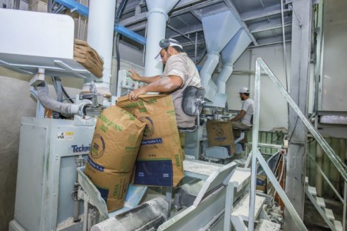 Investigan evasión fiscal en las industrias harinera y molinera