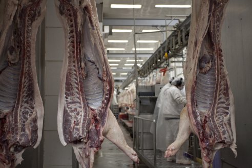 A la caza de dólares: Argentina exportará carne a Singapur
