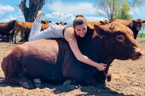 Adoptaron a un ternero como mascota que ya pesa 700 kilos