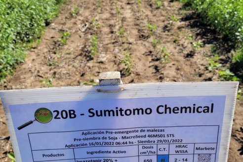 Herbicidas para mejorar el control y retrasar la aparición de resistencias