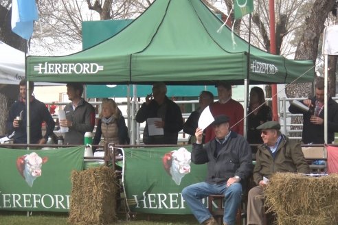 35° Exposición Nacional de Hereford y Campeonato de Terneros - Curuzú Cuatiá - Corrientes