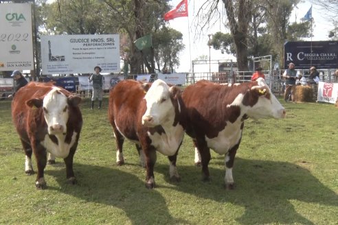 35° Exposición Nacional de Hereford y Campeonato de Terneros - Curuzú Cuatiá - Corrientes