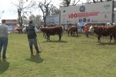 35° Exposición Nacional de Hereford y Campeonato de Terneros - Curuzú Cuatiá - Corrientes