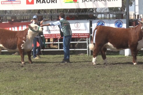 35° Exposición Nacional de Hereford y Campeonato de Terneros - Curuzú Cuatiá - Corrientes