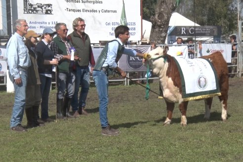 35° Exposición Nacional de Hereford y Campeonato de Terneros - Curuzú Cuatiá - Corrientes