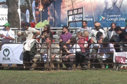 35° Exposición Nacional de Hereford y Campeonato de Terneros - Curuzú Cuatiá - Corrientes