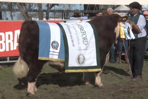 35° Exposición Nacional de Hereford y Campeonato de Terneros - Curuzú Cuatiá - Corrientes