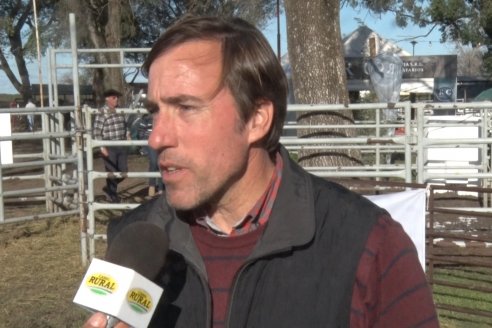 35° Exposición Nacional de Hereford y Campeonato de Terneros - Curuzú Cuatiá - Corrientes