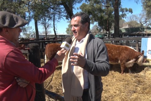 35° Exposición Nacional de Hereford y Campeonato de Terneros - Curuzú Cuatiá - Corrientes