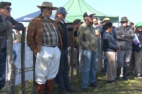 1° Jura Fenotípica de la 1° Prueba Pastoril Hereford Mesopotámica - EEA INTA C.del Uruguay - Entre Ríos