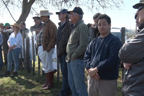 1° Jura Fenotípica de la 1° Prueba Pastoril Hereford Mesopotámica - EEA INTA C.del Uruguay - Entre Ríos