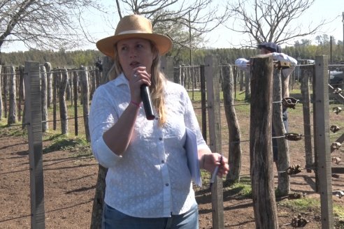 1° Jura Fenotípica de la 1° Prueba Pastoril Hereford Mesopotámica - EEA INTA C.del Uruguay - Entre Ríos