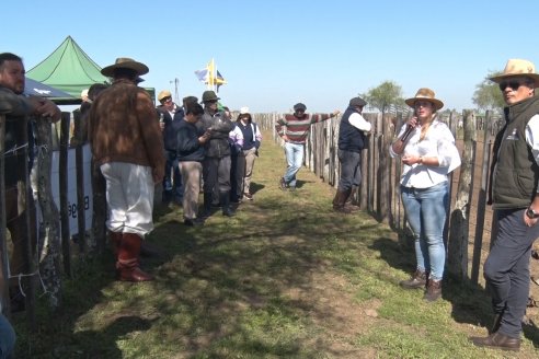 1° Jura Fenotípica de la 1° Prueba Pastoril Hereford Mesopotámica - EEA INTA C.del Uruguay - Entre Ríos