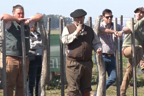 1° Jura Fenotípica de la 1° Prueba Pastoril Hereford Mesopotámica - EEA INTA C.del Uruguay - Entre Ríos