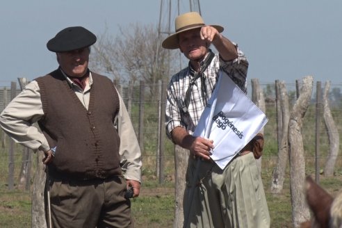 1° Jura Fenotípica de la 1° Prueba Pastoril Hereford Mesopotámica - EEA INTA C.del Uruguay - Entre Ríos