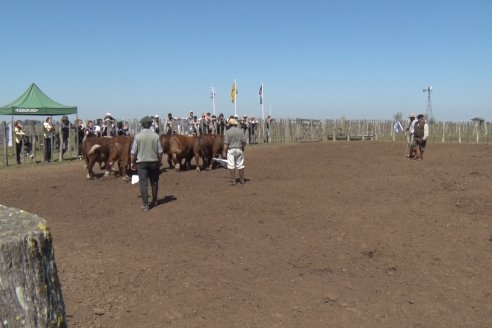 1° Jura Fenotípica de la 1° Prueba Pastoril Hereford Mesopotámica - EEA INTA C.del Uruguay - Entre Ríos