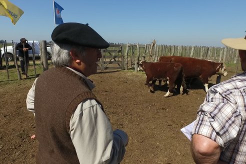 1° Jura Fenotípica de la 1° Prueba Pastoril Hereford Mesopotámica - EEA INTA C.del Uruguay - Entre Ríos