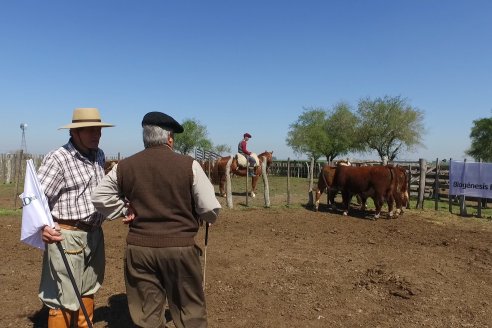 1° Jura Fenotípica de la 1° Prueba Pastoril Hereford Mesopotámica - EEA INTA C.del Uruguay - Entre Ríos