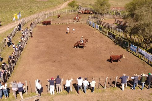 1° Jura Fenotípica de la 1° Prueba Pastoril Hereford Mesopotámica - EEA INTA C.del Uruguay - Entre Ríos