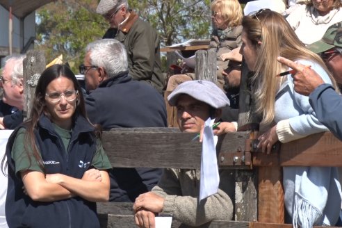 Jura Hereford - Exposición Sociedad Rural de Gualeguaychú
