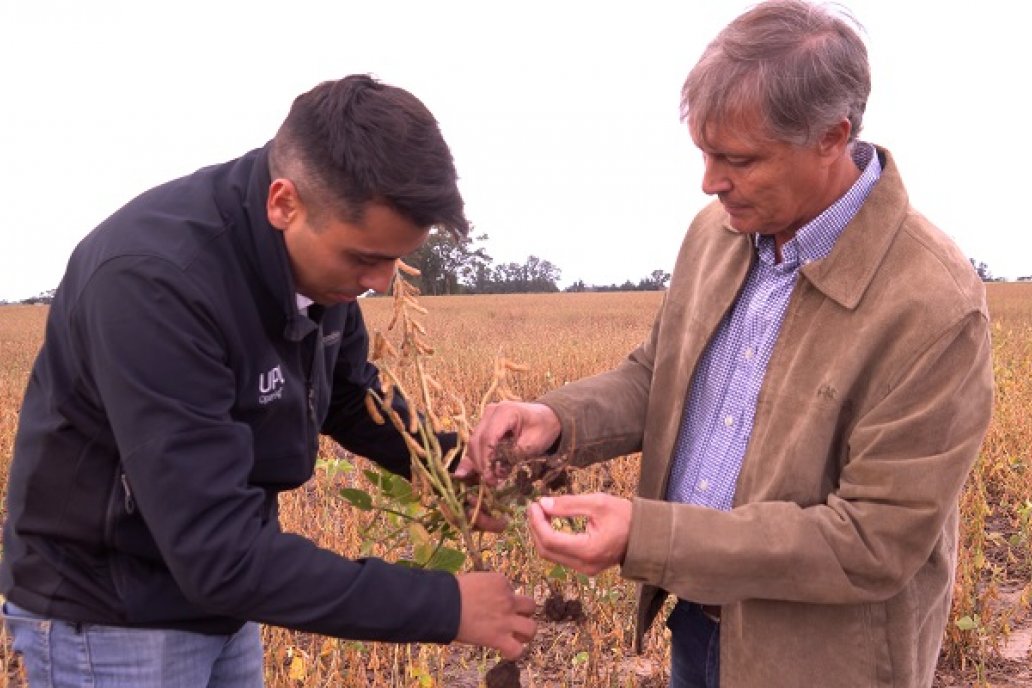 Germán Llanos (UPL Argentina) y Marcelo Risso (productor)