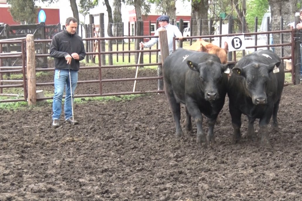 El 30 de septiembre será el momento de rematar todo lo que se vio en la Pastoril