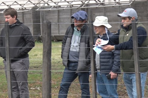 El toro de Cabaña Los Primos, picó en punta en la Prueba Pastoril Angus del Litoral