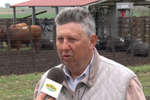 El toro de Cabaña Los Primos, picó en punta en la Prueba Pastoril Angus del Litoral