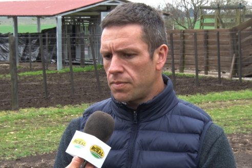 El toro de Cabaña Los Primos, picó en punta en la Prueba Pastoril Angus del Litoral