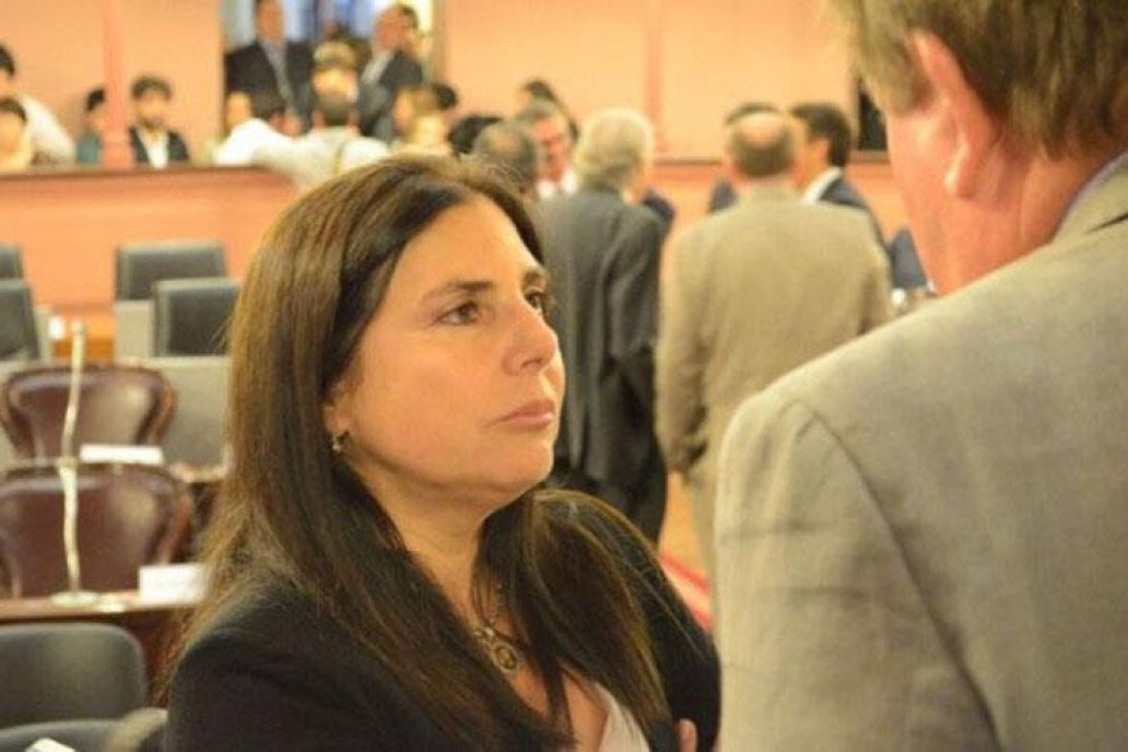 La legisladora contó que su plan tiene el respaldo de la Federación del Citrus. La legisladora contó que su plan tiene el respaldo de la Federación del Citrus.