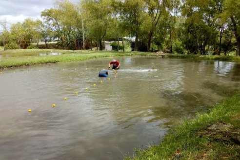 Producir peces en sistemas circulares es rentable y sostenible